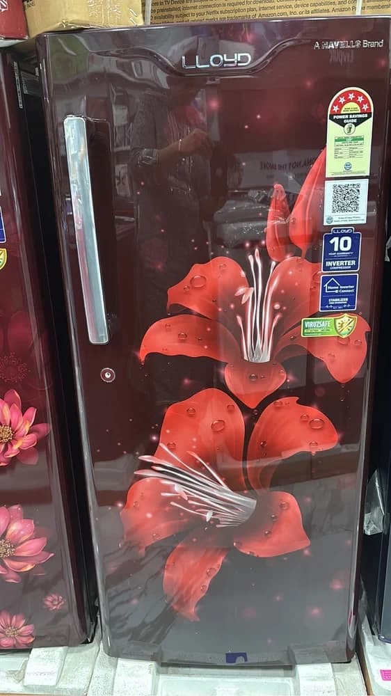 LLOYD Refrigerator/Fridge - GLDF2055T2LC (185Ltrs) image