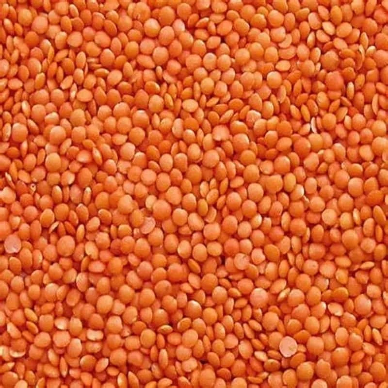Masoor Dal